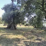 Κατάλυμα σε φάρμα Grottedisileno *