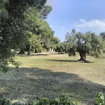 Grottedisileno * Καστελανέτα