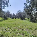 Grottedisileno