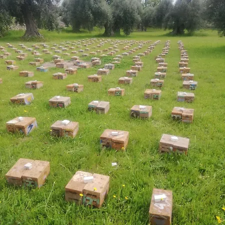 Grottedisileno * Castellaneta