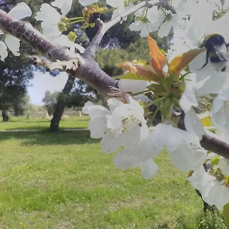Grottedisileno Séjour à la ferme *