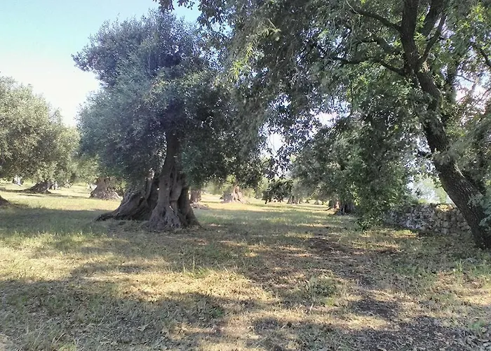 Alojamento de Turismo Rural Grottedisileno *