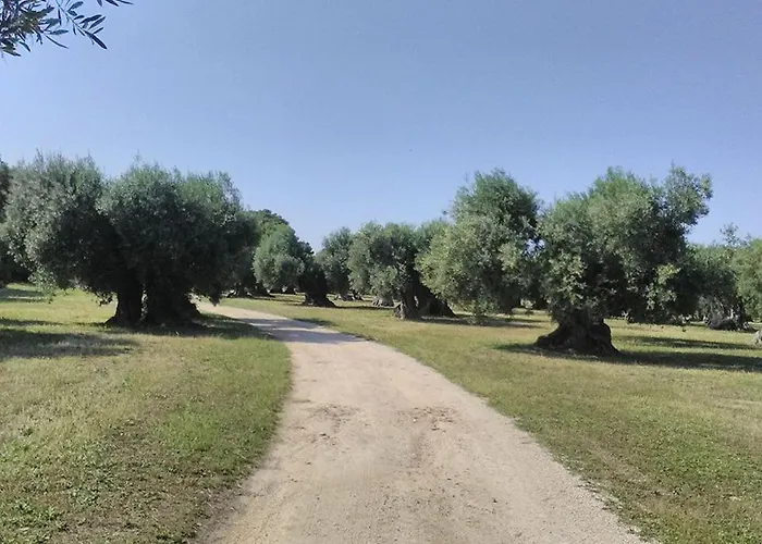 Grottedisileno Alojamento de Turismo Rural *