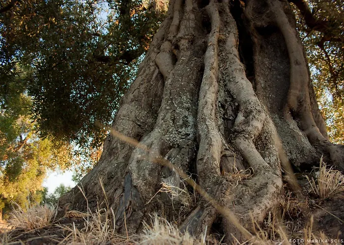 Alojamento de Turismo Rural Grottedisileno Castellaneta