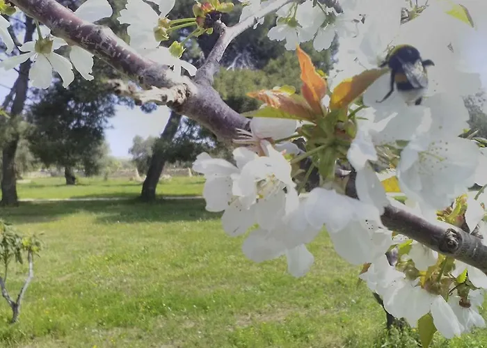 Grottedisileno Alojamento de Turismo Rural *