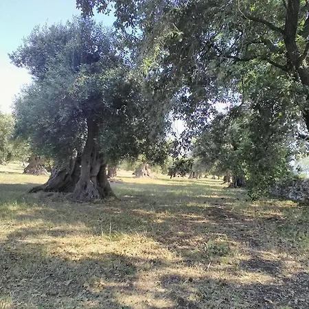 Gospodarstwo agroturystyczne Grottedisileno *