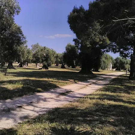 Grottedisileno