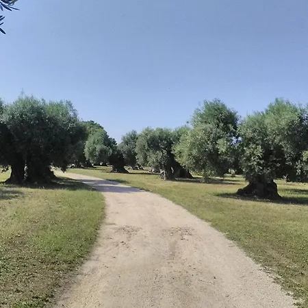 Grottedisileno Farm stay *