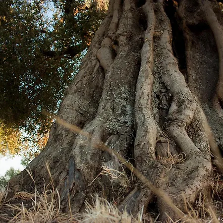 Farm stay Grottedisileno Castellaneta