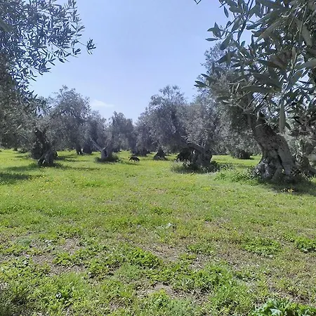 Grottedisileno