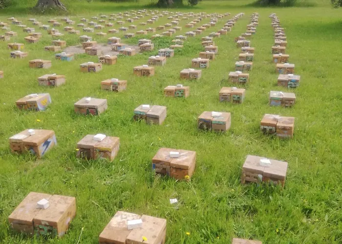 Grottedisileno * Кастелланета