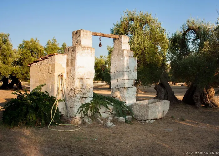 Grottedisileno Фермерский дом Кастелланета